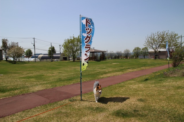 ファイル 71-4.jpg