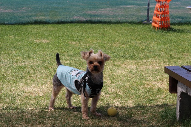 ファイル 71-7.jpg