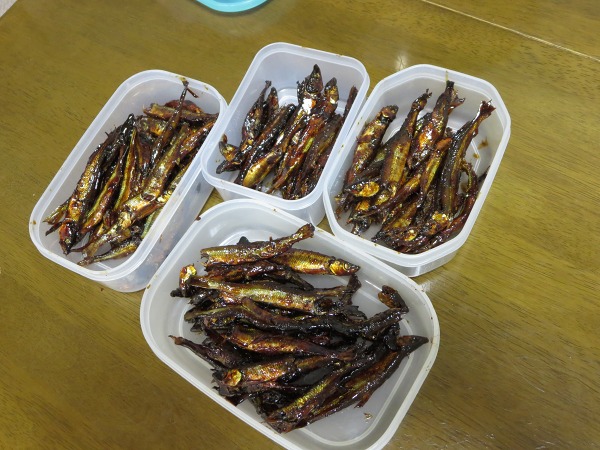 ファイル 72-8.jpg