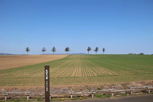 ファイル 73-3.jpg