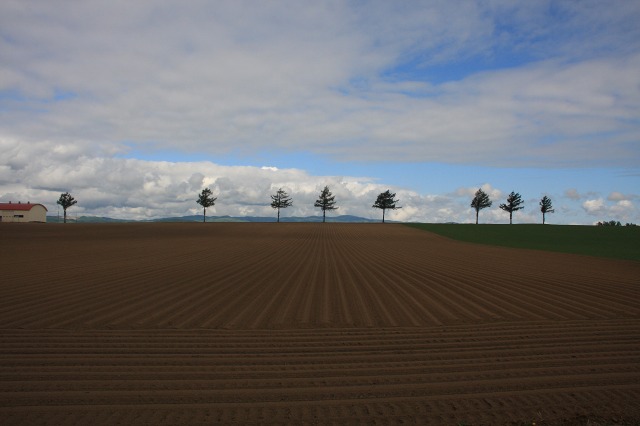 ファイル 73-7.jpg