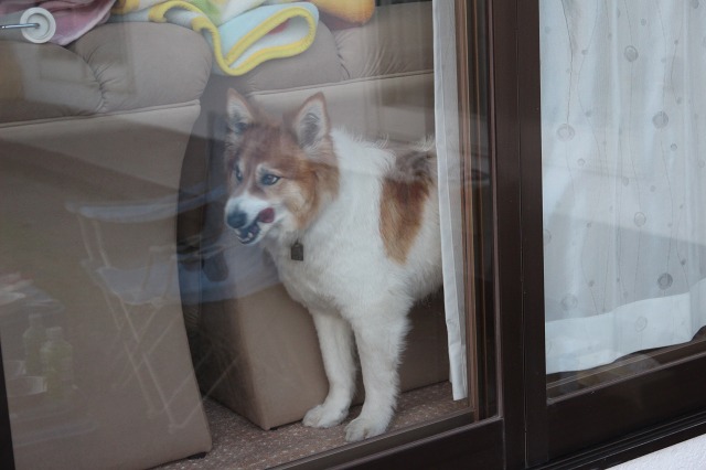 ファイル 75-7.jpg