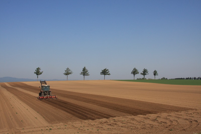 ファイル 77-1.jpg