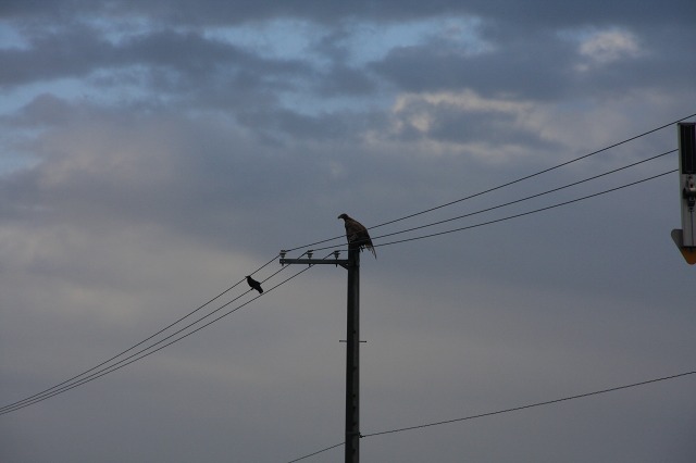 ファイル 78-4.jpg