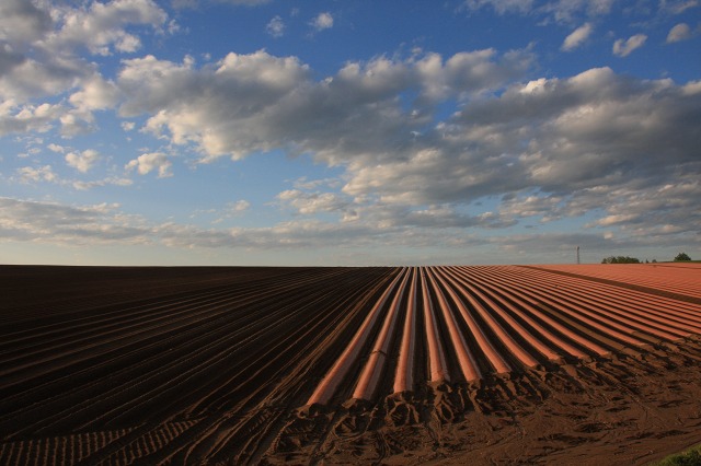 ファイル 78-6.jpg