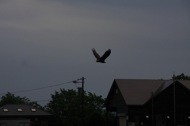 ファイル 78-9.jpg