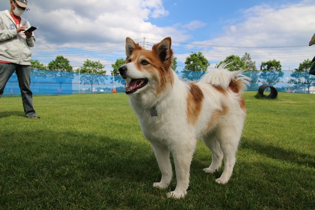 ファイル 79-2.jpg