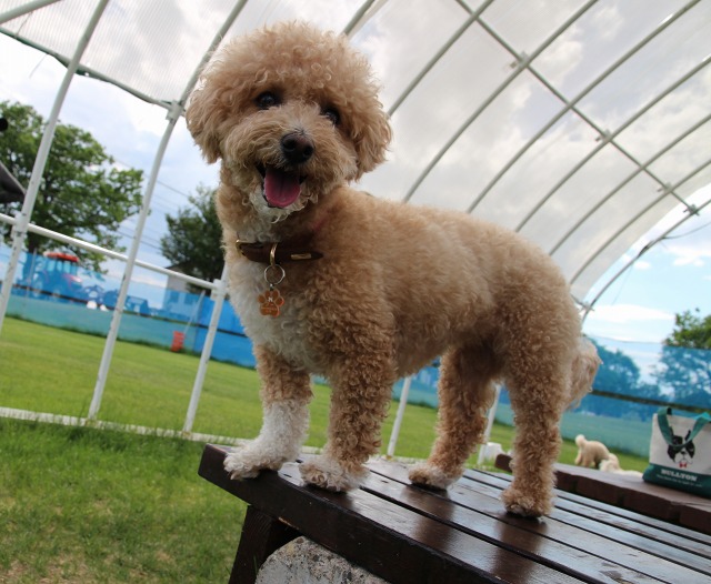 ファイル 79-3.jpg