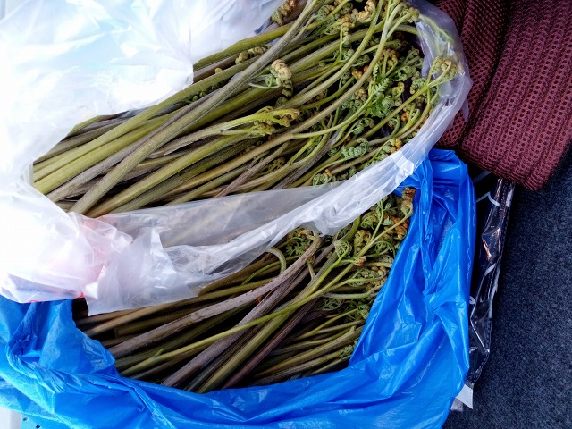 ファイル 79-5.jpg