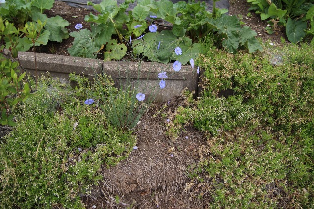 ファイル 81-2.jpg