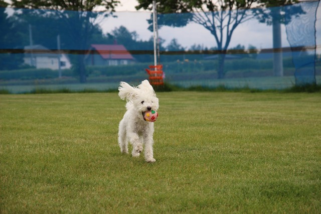 ファイル 82-2.jpg