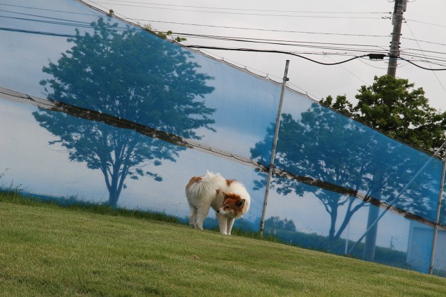 ファイル 82-3.jpg