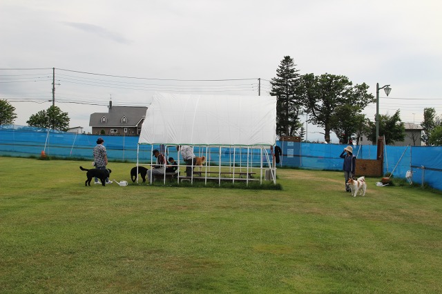 ファイル 82-4.jpg