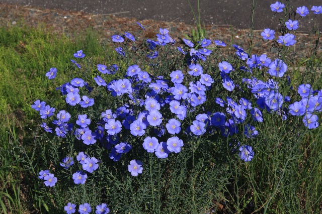 ファイル 83-7.jpg