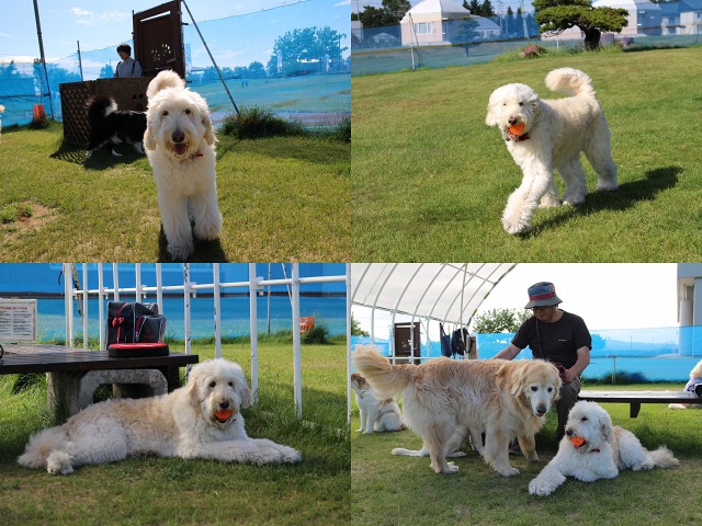 ファイル 86-3.jpg