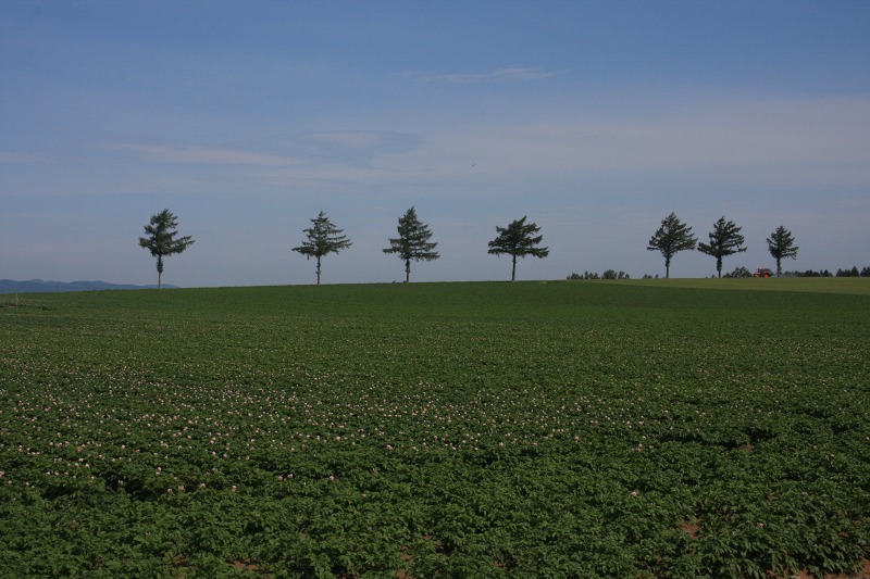 ファイル 87-1.jpg