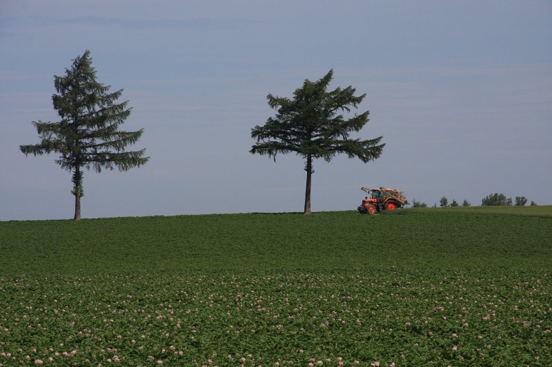 ファイル 87-2.jpg