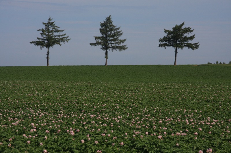 ファイル 87-3.jpg