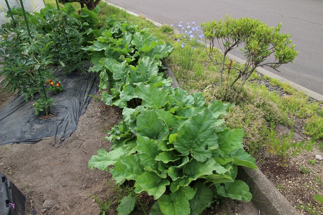 ファイル 88-1.jpg