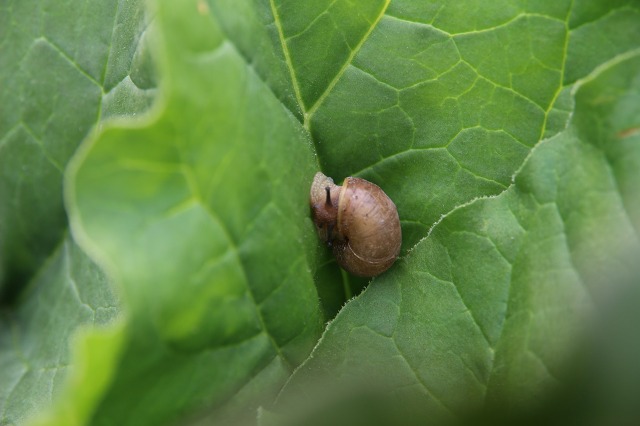 ファイル 88-2.jpg