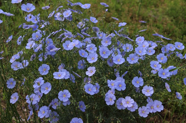 ファイル 88-4.jpg