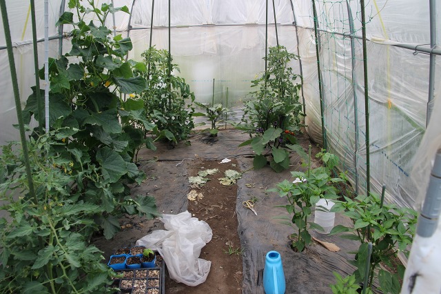 ファイル 88-5.jpg