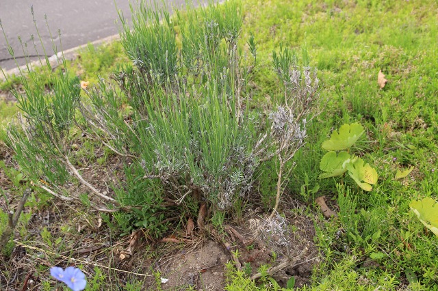 ファイル 88-9.jpg