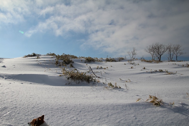 ファイル 9-1.jpg