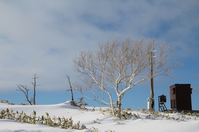 ファイル 9-2.jpg