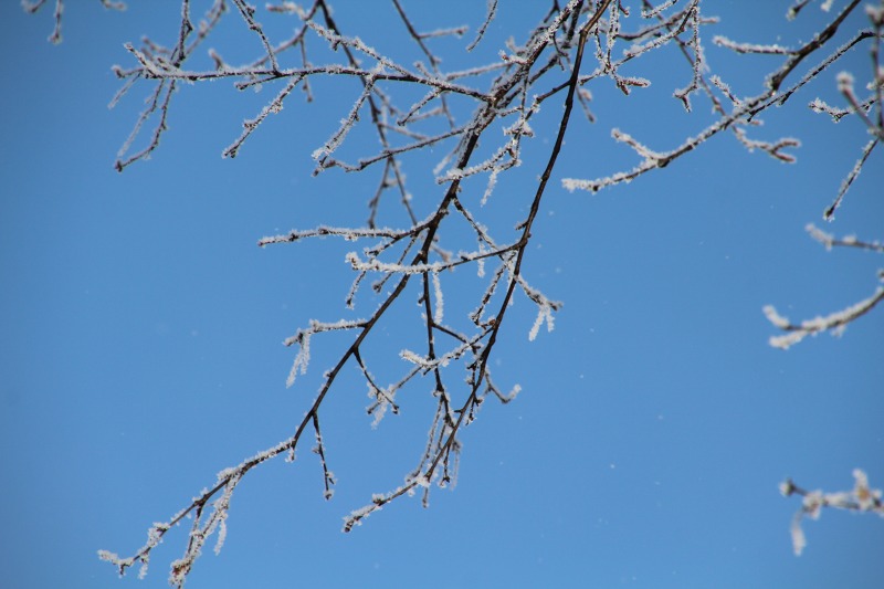 ファイル 9-4.jpg