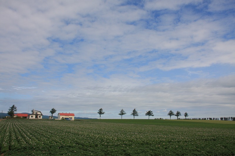 ファイル 91-1.jpg