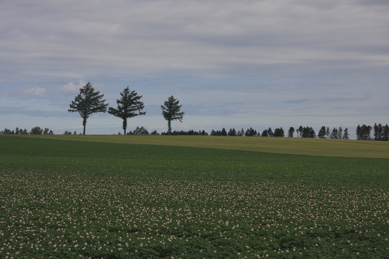 ファイル 91-2.jpg