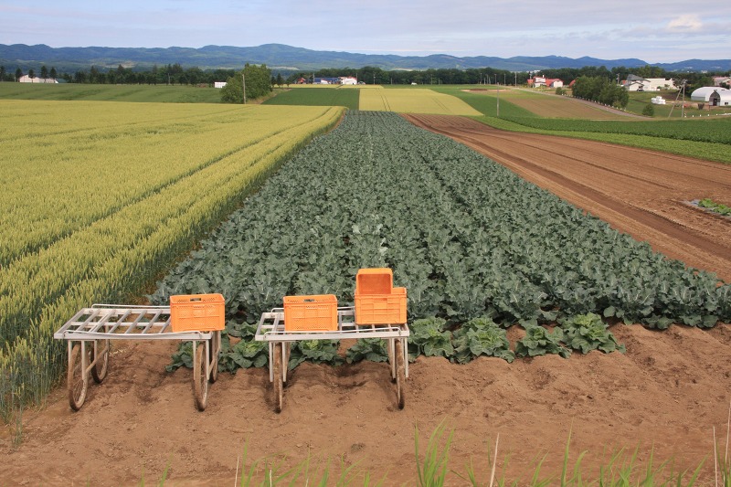 ファイル 91-3.jpg