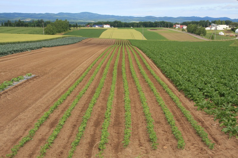 ファイル 91-4.jpg