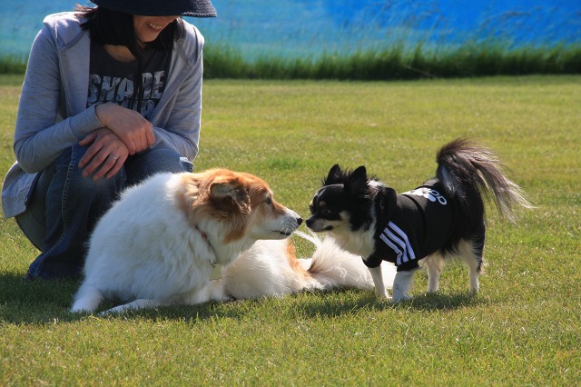 ファイル 91-6.jpg