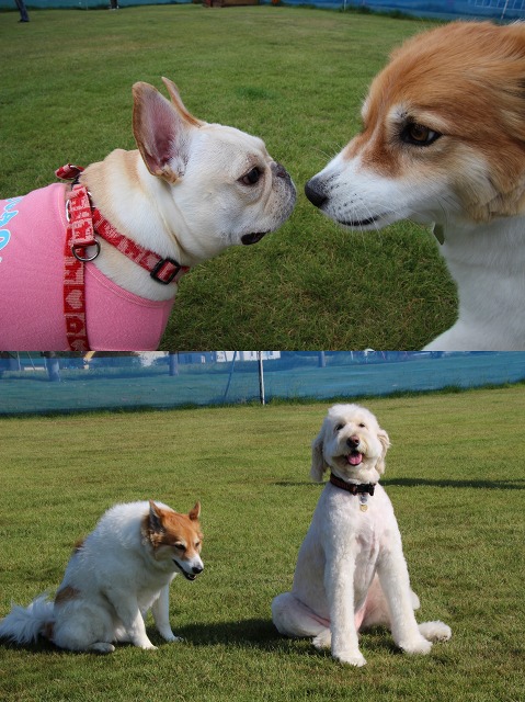 ファイル 92-4.jpg