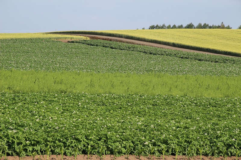 ファイル 92-5.jpg