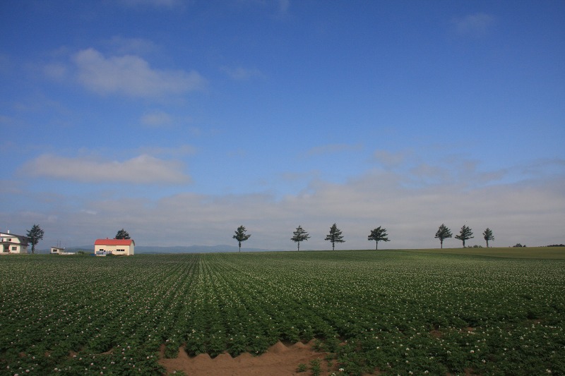 ファイル 93-1.jpg