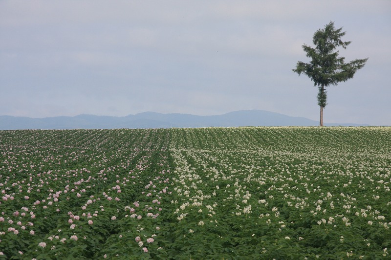 ファイル 93-2.jpg