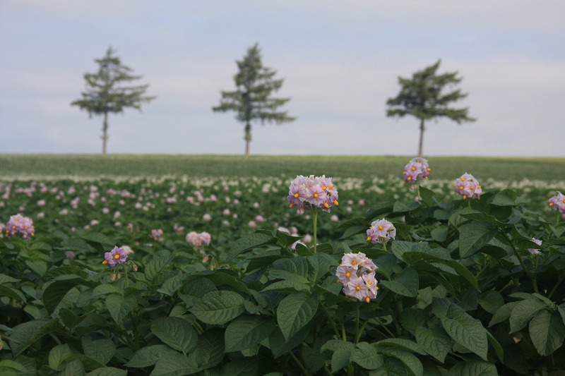 ファイル 93-3.jpg