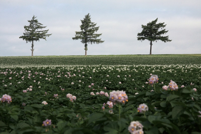 ファイル 93-4.jpg