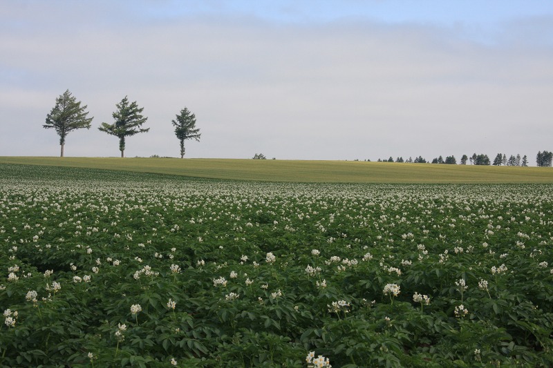 ファイル 93-5.jpg