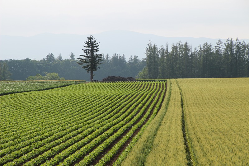 ファイル 93-6.jpg