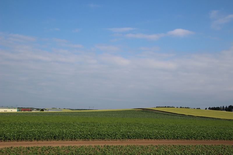 ファイル 93-7.jpg