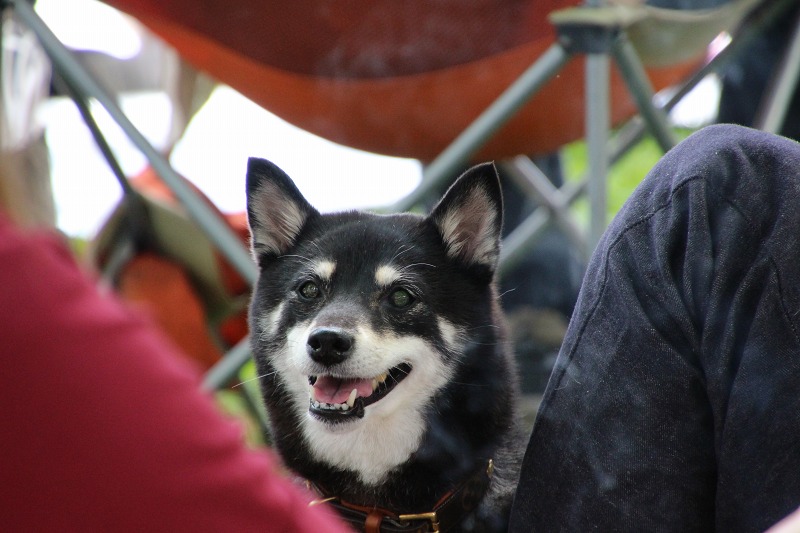 ファイル 93-9.jpg