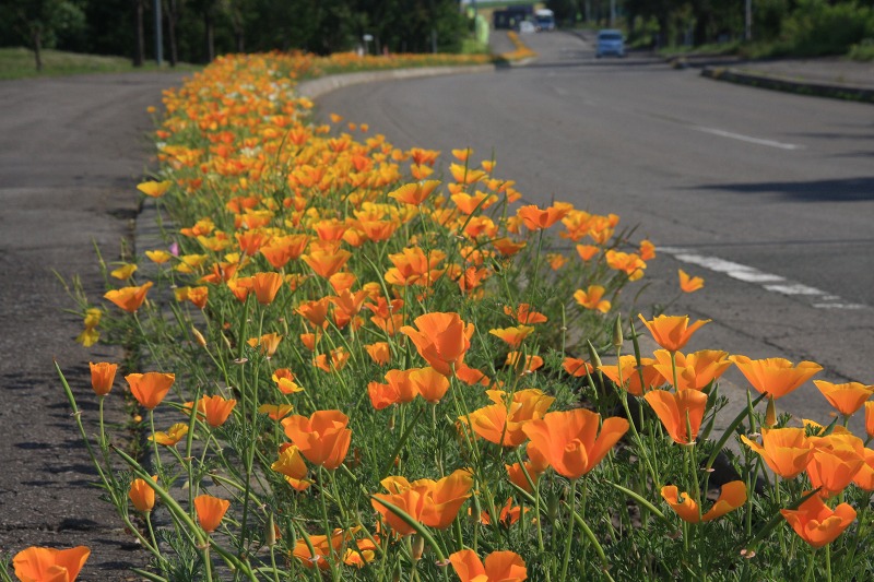 ファイル 94-2.jpg