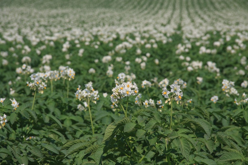 ファイル 94-3.jpg