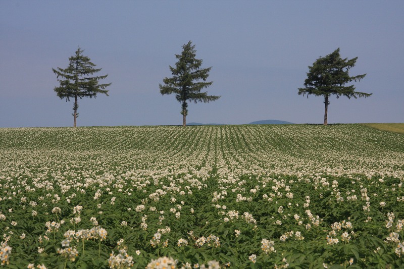 ファイル 94-4.jpg