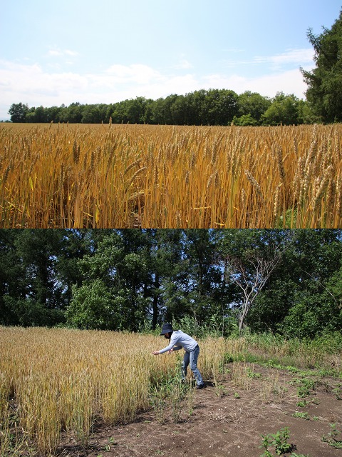 ファイル 96-3.jpg