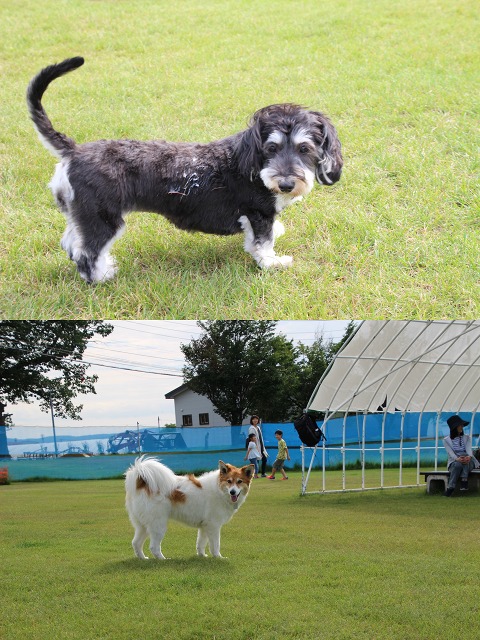 ファイル 96-5.jpg